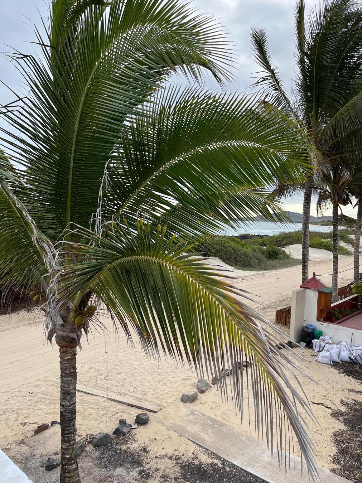Kasa Mar Apartment Puerto Villamil Exterior photo